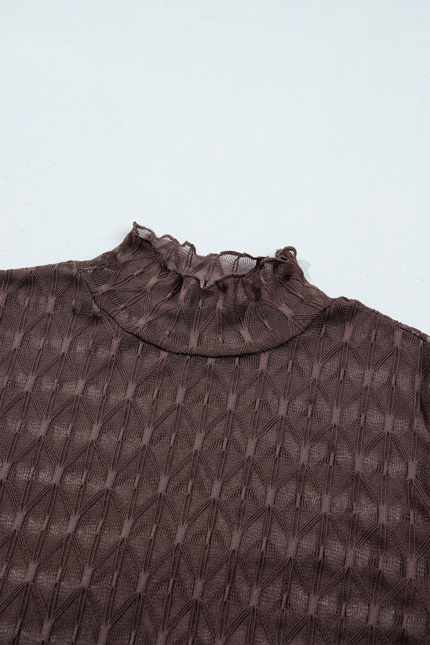 Solid Sheer Textured Lace Mock Neck Long Sleeve Top