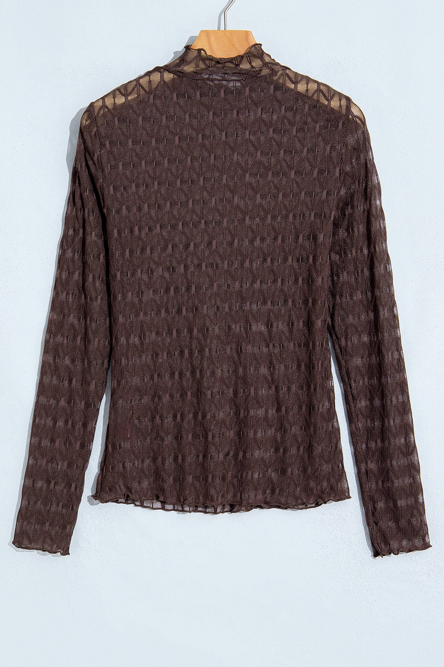Solid Sheer Textured Lace Mock Neck Long Sleeve Top