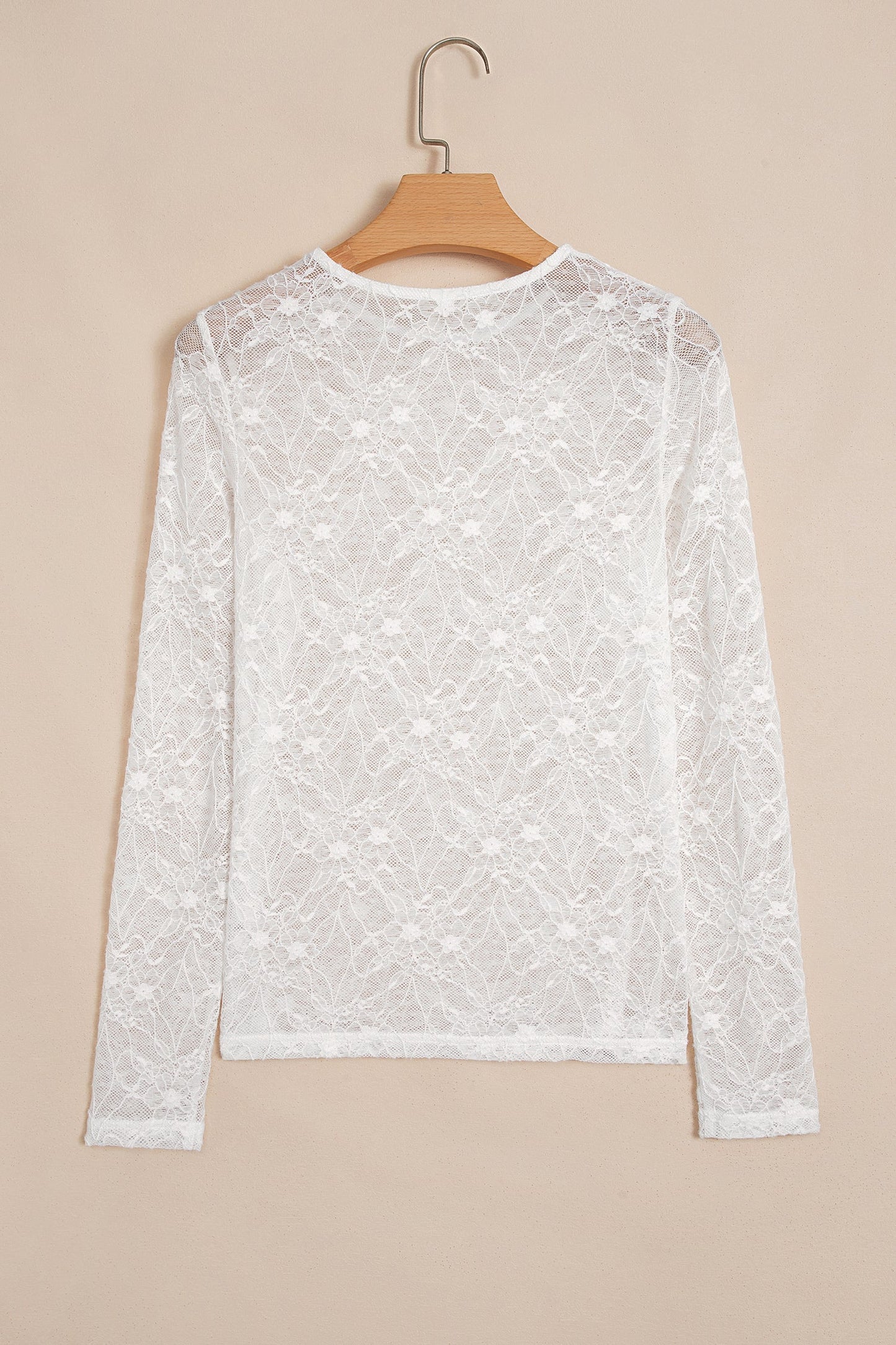 Sheer Lace Mesh Crew Neck Long Sleeve Top